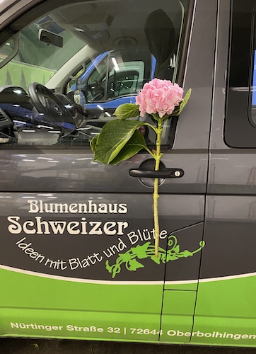 Blumen Schweizer Autotüre